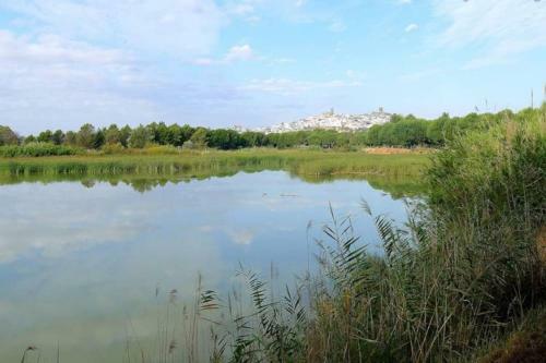 Agroturismo Alegr�a Casa Rural El Romeral