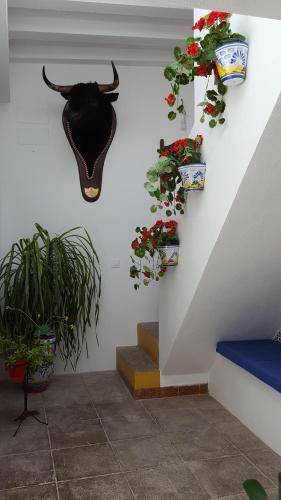 Casa Ricardo " Le Gite "