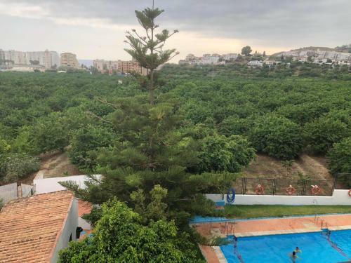 Apartamento Costa Tropical