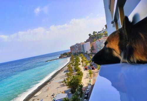 Apartamento Cruise Views