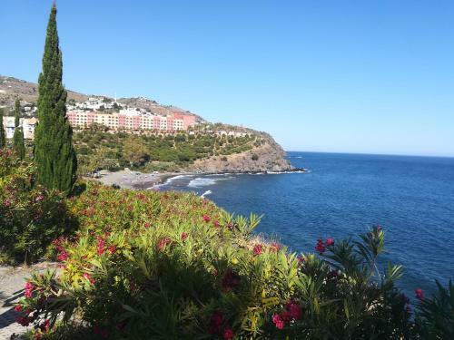 Habitaci�n Privada