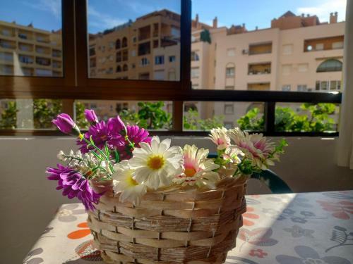 Apartamento Hibisco , Primera L�nea De Playa
