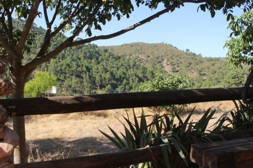 Villa Esencia Lodge - Luxurious Off-grid Cabin Retreat