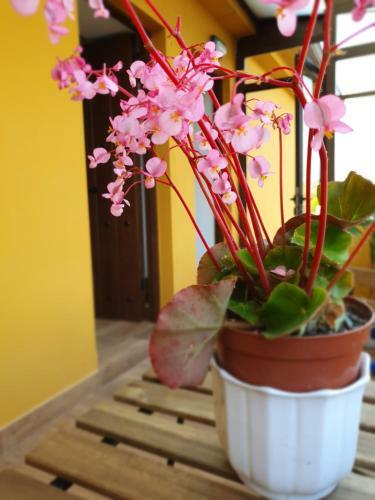 Apartamento Bilo�a - La Colina