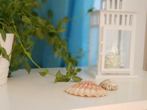 Apartamento Gran Canaria (arinaga)