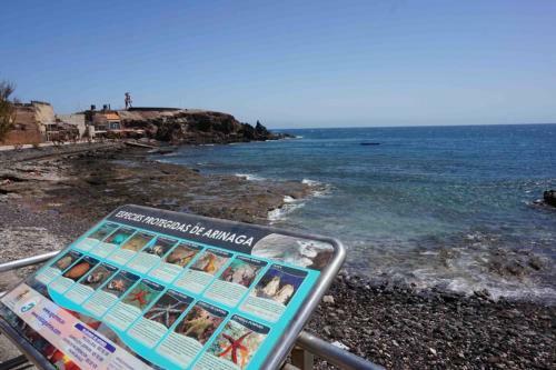 Apartamento Ocean