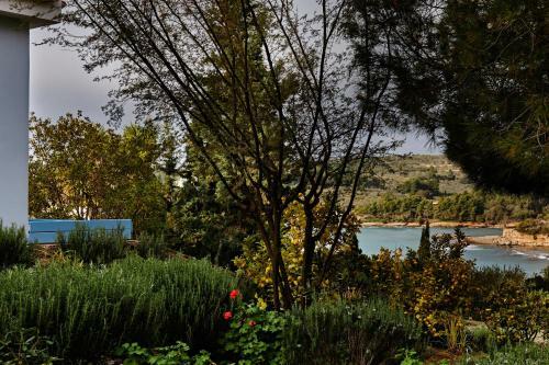 Villa Irini