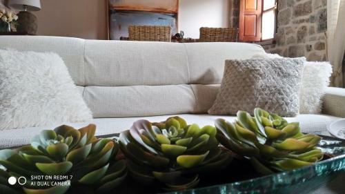 Apartamento La Cocada