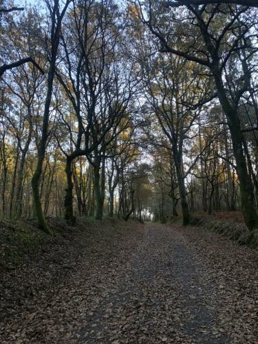 Vut En El Camino de Santiago, Boente