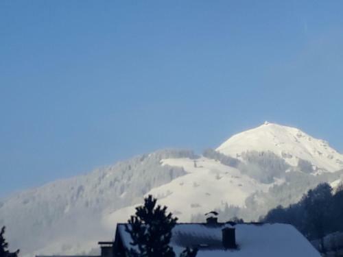 Apartamento Haus Erika