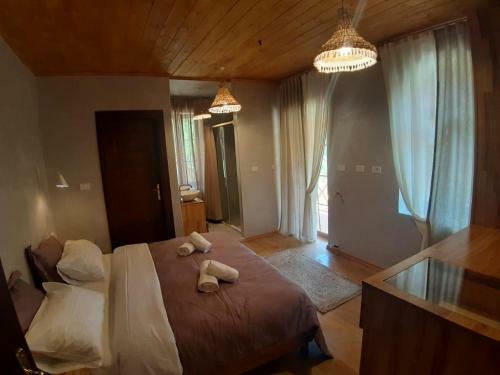 Hotel Restaurant Alpet Theth