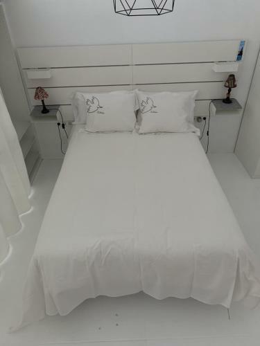 Apartamento Loft Charco San Gines