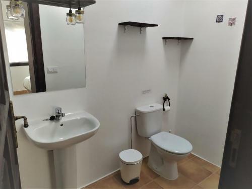 Bed & Breakfast Casa Mocan