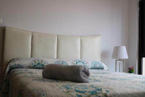 Apartamentos La Carmen
