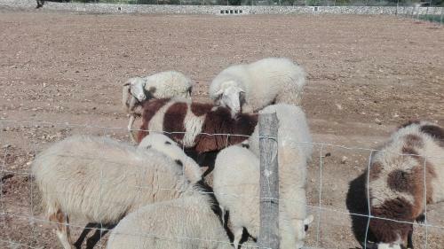 Sa Granja