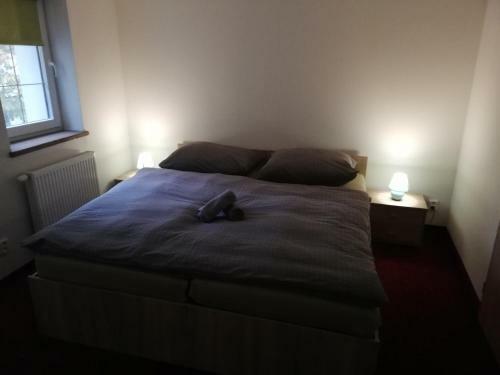 Hostal Penzion Svat� Petr