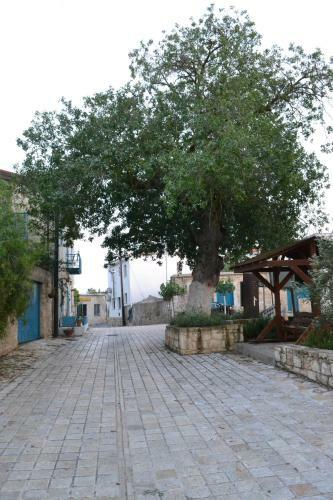Malietzis House