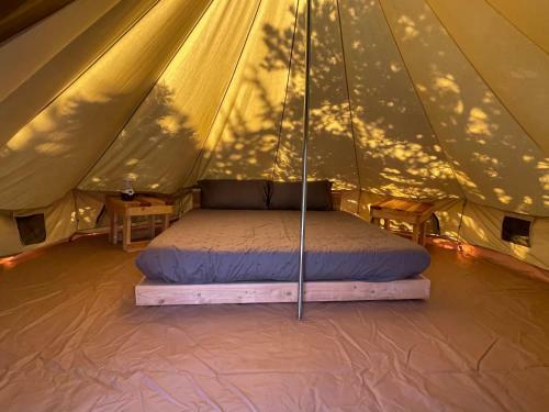 Juniper Grove Camp Zion
