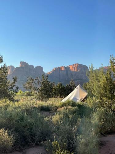 Juniper Grove Camp Zion