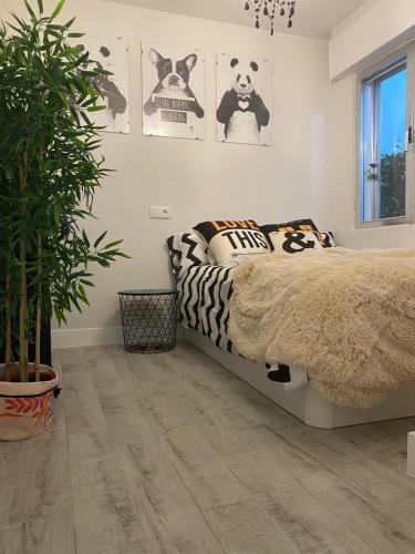 Apartamento Enjoy Avila