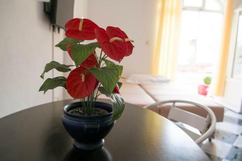 Apartments Damjanovic