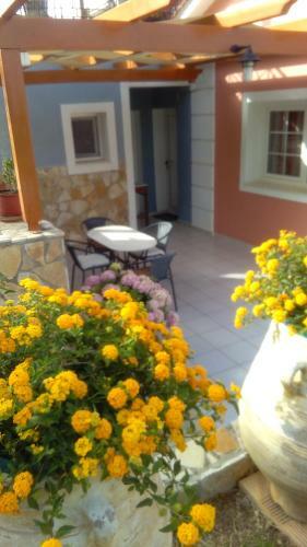 Apartamento Studios Rania