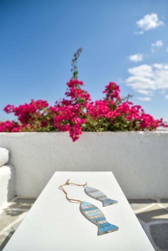 Aparthotel Cavos
