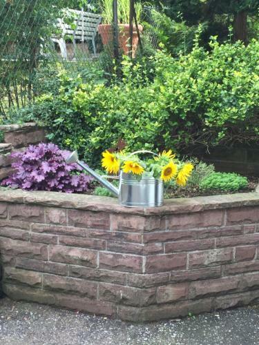 Apartamento Ferienwohnung Pusteblume