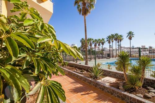Playa De Las Americas Apartment 2