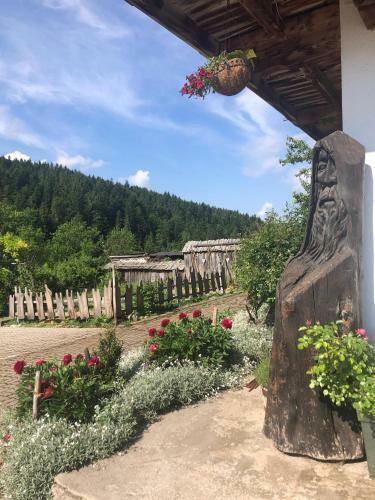 Agroturismo Oberachenhof