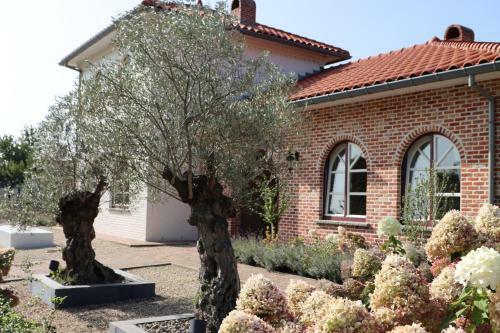 Villa Casa Il Cipresso