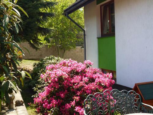 Family House ?�zn�kov