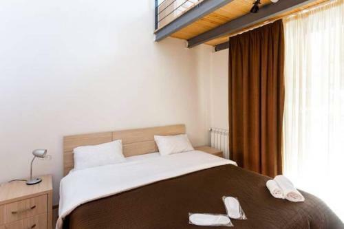 Cozy Villa In Bakuriani