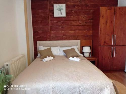 Apartamento Bakuriani Mgzavrebi Studio 5
