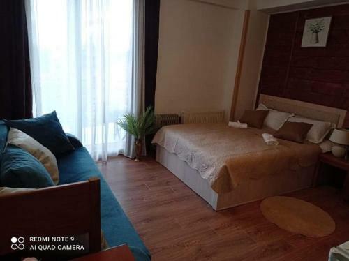 Apartamento Bakuriani Mgzavrebi Studio 5