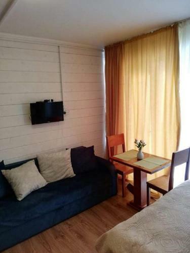 Apartamento Bakuriani Mgzavrebi Studio 5