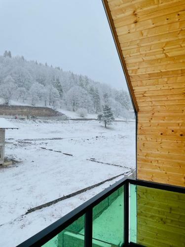 Snow Forest Bakuriani Apartment 17b