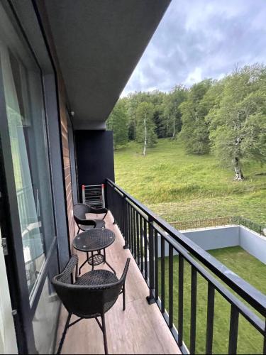 Area Apartment 24