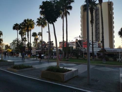Apartamento Cataleya Home