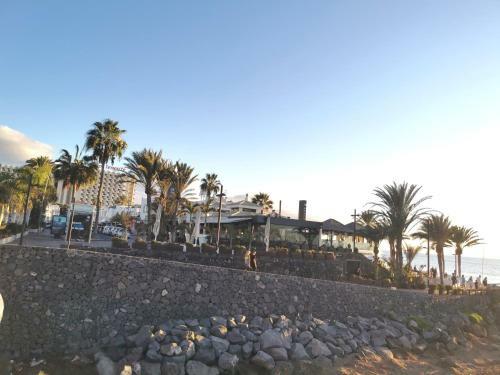 Apartamento Cataleya Home