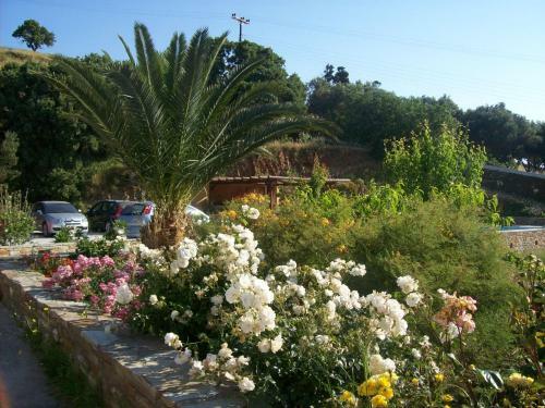 Apartamento Vassiliki Studios