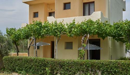 Dimitra Apartments