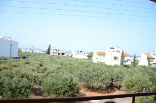Alex Apartments