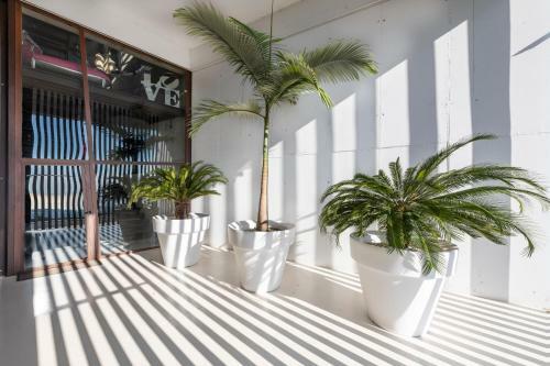 Villa Ibiza Style Barcelona