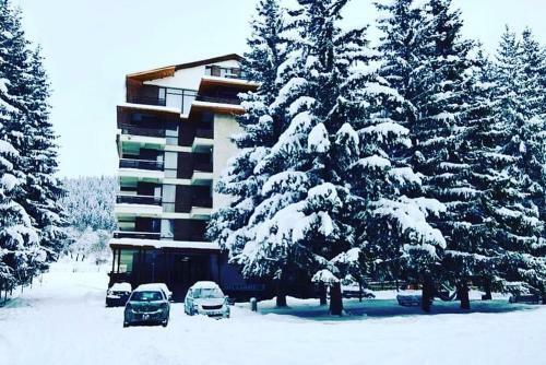 Bakuriani City Apartment N 506