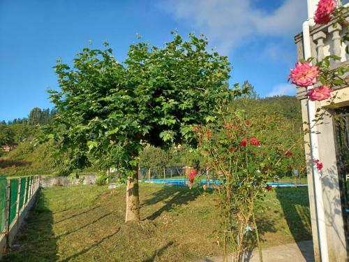 Apartamento Caser�o F�lix