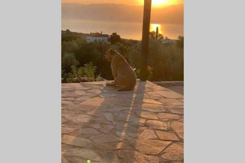 Messinia View House
