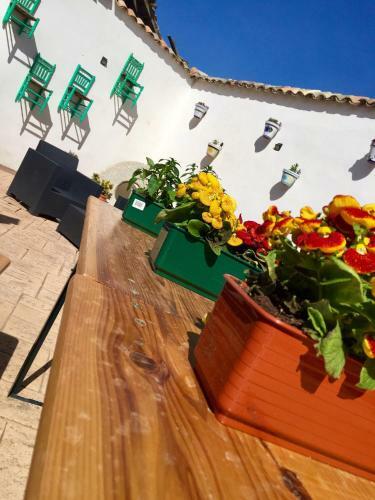 Casa El Tio Daniel,,,,,,ahora Con Spa