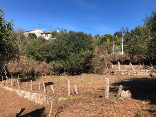Quinta Do Souto Barciademera