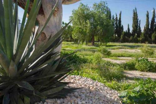 Villa Fina (Piscina/wifi/barbacoa/parking)
